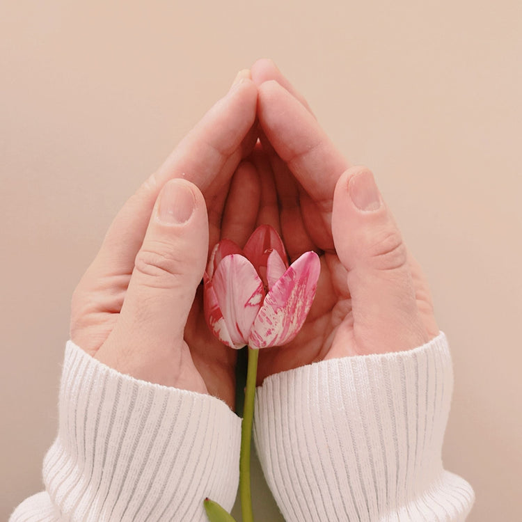 Protection & Grounding